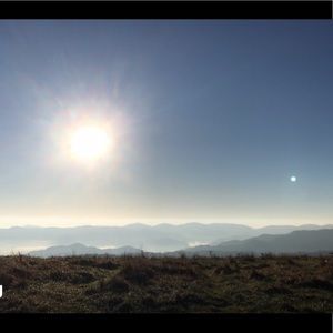 Meet your Posher, Devin